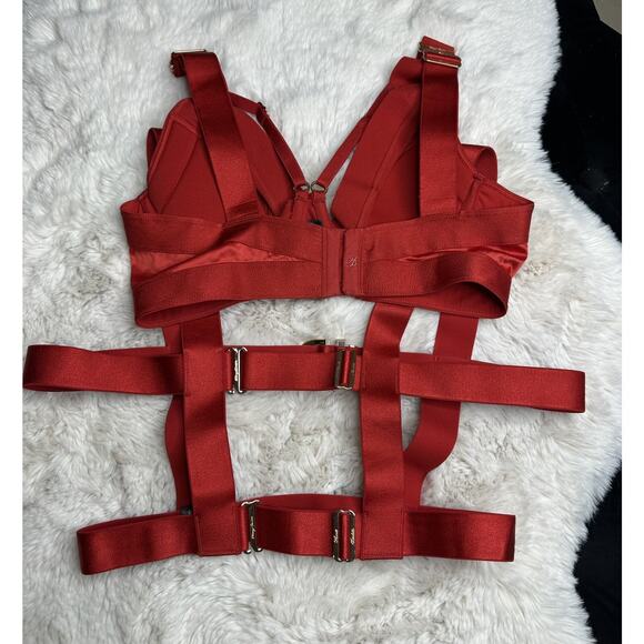Honey Birdette GIA❤️ Red Gold Buckle Bra 34B + Harness - Picture 3 of 5